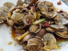爆炒花蛤-渔中舟海鲜大排档(普陀沈家门店)