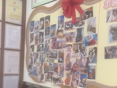 -顺强宠物诊所·狂犬免疫·夜诊·骨科(嘉定店)