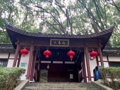 -上海佘山国家森林公园天马山园