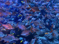 -成都浩海立方海洋公园