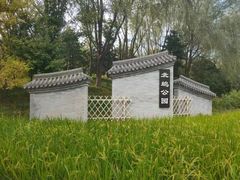 -北坞公园