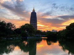 -红梅公园