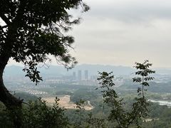 -大奇山国家森林公园