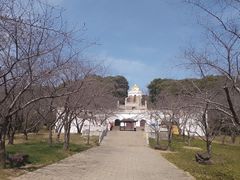 -苏州上方山国家森林公园