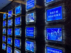 -报业大厦游泳馆