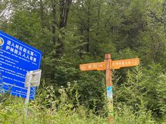 -黑河国家森林公园