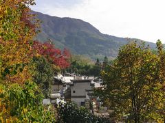 -塔川景区