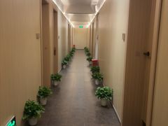 -青曼SPA·按摩·采耳·足道(龙之梦店)