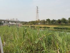 -那考河湿地公园