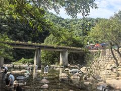 -石台牯牛降景区
