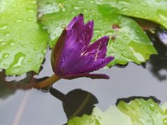 -黄兴公园