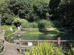 -成都市活水公园