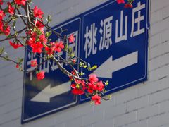 -桃源山庄·水蜜桃采摘·柴火鸡·烧烤团建(龙泉山店)