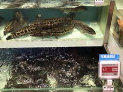 -盒马鲜生(财富中心店)