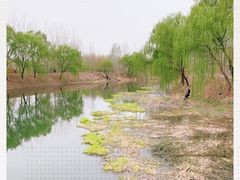 -东郊湿地公园