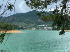 -广州市流溪河国家森林公园