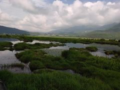 -腾冲北海湿地