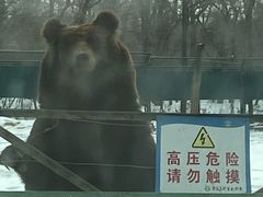 -秦皇岛野生动物园