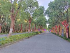 -上海海湾国家森林公园