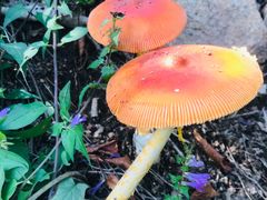 -丹东市五龙山风景区