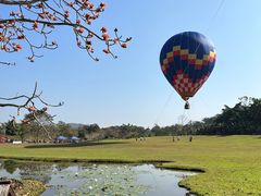 -中国科学院西双版纳热带植物园