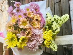 -斯多格书乡(北京大学畅春园店)