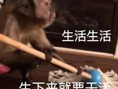 -天虹购物中心(深圳龙华店)