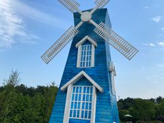 -铁山坪森林公园