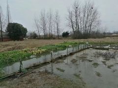 -扬州中集格兰云天大酒店