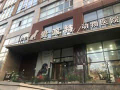 -爱派特动物医院·全科诊疗中心
