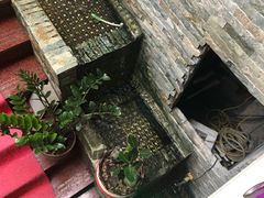 -小波紫炸鸡(水围店)