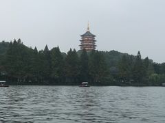 -西湖外事游船(花港观鱼码头)