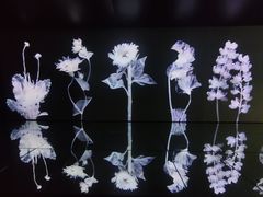 -时代美术馆-成都馆