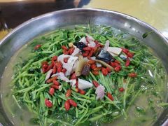 上汤绿豆苗-柴火农庄(东海路店)