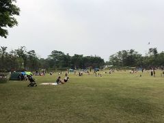 -东莞植物园