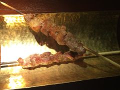 -新疆红柳花餐厅(新洲店)