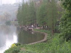 -重庆彩云湖湿地公园