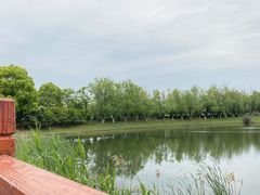 -艾溪湖湿地公园