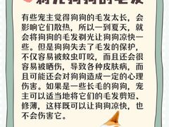 -贝利宠物医院·骨科·眼科·肿瘤转诊中心(南坪诊疗中心)