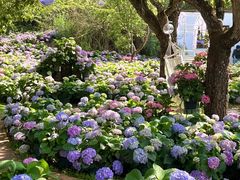 -名花谷生态庄园