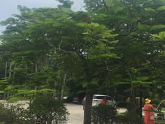 -东郊椰林