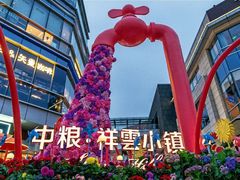 -中粮·祥云小镇