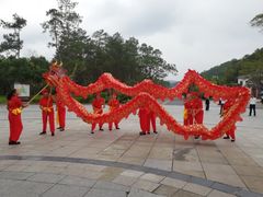 -九龙江国家森林公园