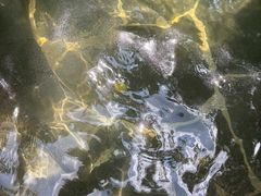 -昆明柏联SPA温泉