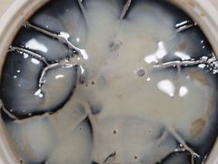 -永康饼屋(桑达大厦总店)