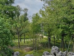 -江心屿景区