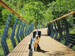 -白水寺森林公园