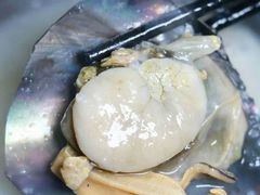 带子-杏坛公平靓正(伦教滨江店)