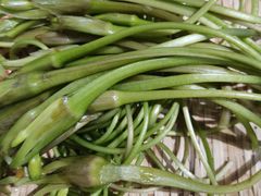 -阿山卓·野生菌火锅·纳西火塘烤肉