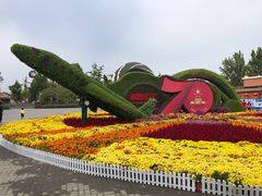 -大兴滨河森林公园